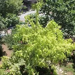 Thermal Orkide Yalova (Yalova)