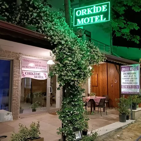 Orkide