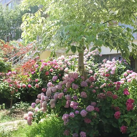 فندق مبيت وإفطار Thermal Orkide 3*