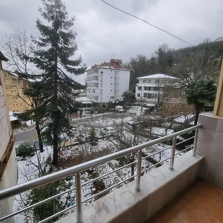 فندق مبيت وإفطار Thermal Orkide 3*